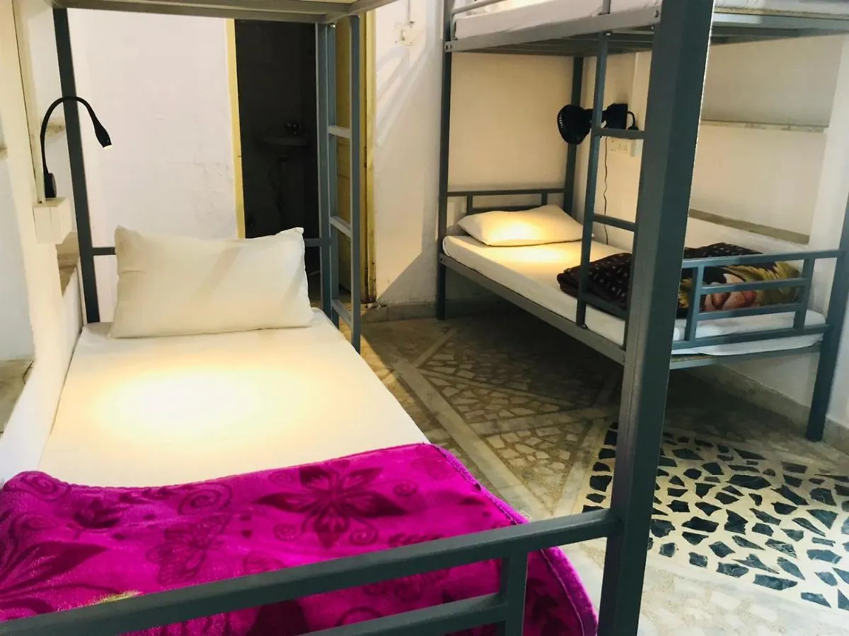 Trip In Hostel Udaipur India
